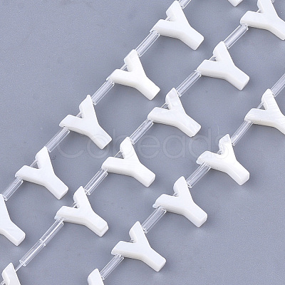 Natural Freshwater Shell Beads SHEL-T012-59Y-1