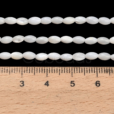 Natural Freshwater Shell Beads Strands SHEL-C010-03B-1