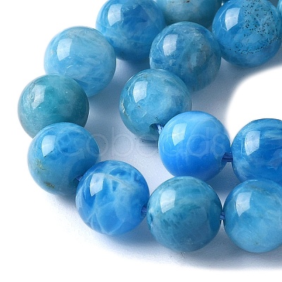 Natural Apatite Beads Strands G-I254-08H-1