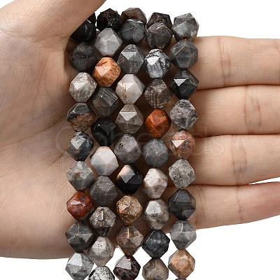 Natural Fossil Coral Beads Strands G-Z119-A26-03-1
