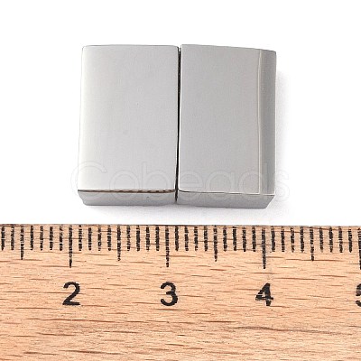 Tarnish Resistant 304 Stainless Steel Magnetic Clasps with Glue-in Ends STAS-G163-60P-01-1
