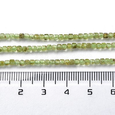 Natural Peridot Beads Strands G-M421-B04-02-1