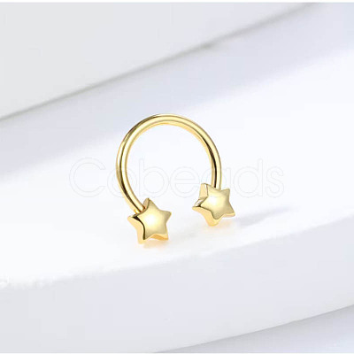 304 Stainless Steel Circular/Horseshoe Barbell Nose Rings FS-WG4F869-03-1
