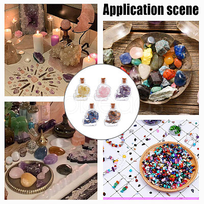 10Pcs Mixed Gemstones Chips in Skull Glass Bottle Display Decorations DJEW-AR0001-08-1
