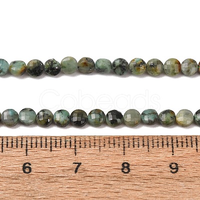 Natural African Turquoise(Jasper) Beads Strands GG-CBA9631-D12-01-1