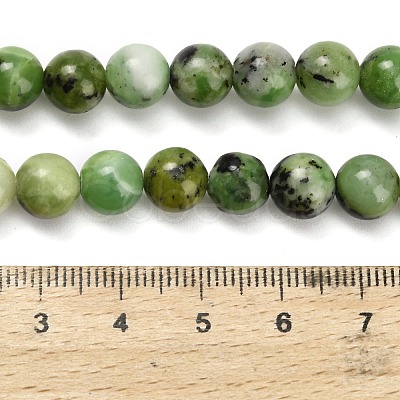 Natural Serpentine Beads Strands G-Z110-C04-8mm-1