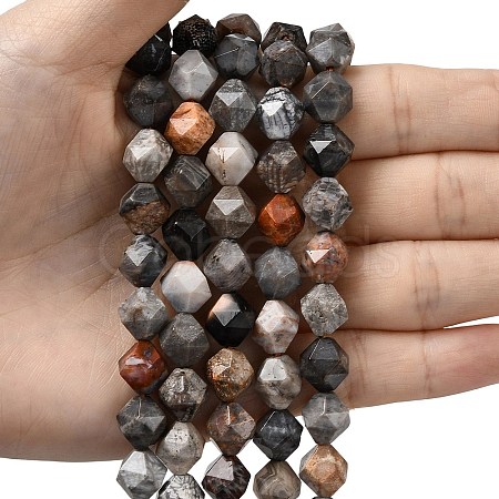 Natural Fossil Coral Beads Strands G-Z119-A26-03-1