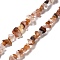 Natural South Red Agate Beads Strands, Chip, 1~5x3~16x3~5mm, Hole: 0.8~0.9mm, 29.92~32.68''(76~83cm)