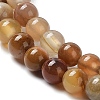 Natural Petrified Wood Round Bead Strands G-P070-69-3mm-2