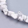 Natural Howlite Stone Bead Strands X-G-R192-15-3