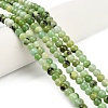 Natural Serpentine Beads Strands G-Z110-C04-4mm-1