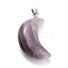 Natural Amethyst Pendants G-Z022-02C-2