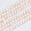 Natural Pink Shell Beads Strands SSHEL-L016-18C-1