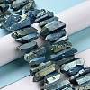 Natural Quartz Crystal Points Beads Strands G-K181-B16-4