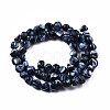 Natural Trochid Shell/Trochus Shell Beads Strands SSHEL-N032-48-A01-2