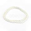 Electroplate Glass Beads Strands EGLA-J013-4X6mm-F03-2