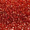 Glass Seed Beads SEED-S042-04A-10-3