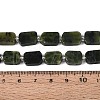 Natural Canadian Jade Beads Strands G-T138-26A-07-5