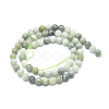 Natural Myanmar Jade/Burmese Jade Beads Strands G-D0001-08-6mm-2