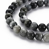 Natural Hawk's Eye Beads Strands G-S333-8mm-034-3