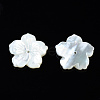 Natural White Shell Mother of Pearl Shell Beads SSHEL-T014-42D-3