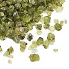 Natural Peridot Beads G-D363-A01-1