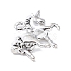 Tibetan Style Alloy Pendant PALLOY-H134-01AS-2
