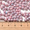 Picasso Baking Paint Glass Seed Beads SEED-A032-02A-08-4