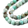 Natural Chrysoprase Beads Strands G-S333-6mm-016-3