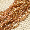 Electroplate Glass Beads Strands EGLA-J013-4X6mm-F05-1