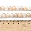 Natural Cultured Freshwater Pearl Beads Strands PEAR-B004-13A-01A-5