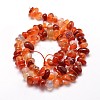 Dyed Natural Carnelian Chip Beads Strands X-G-E271-105-2