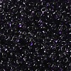 Transparent Colours Glass Seed Beads SEED-P006-02A-12-3