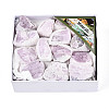 Natural Kunzite Display Decorations G-N347-11A-1