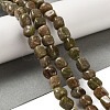 Natural Unakite Beads Strands G-B078-D25-01-2