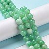 Natural Chrysoprase Beads Strands G-O166-03-8mm-4