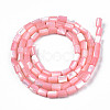 Natural Trochid Shell/Trochus Shell Beads Strands SHEL-N003-26-B05-2