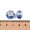 Transparent Glass European Beads GPDL-N004-D14mm-A13-3