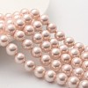 Shell Pearl Beads Strands SP10MM505-1