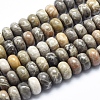 Natural Fossil Coral Beads Strands G-K256-10D-1