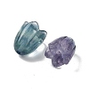 Natural Fluorite Beads G-A222-03F-2