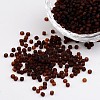 8/0 Frosted Round Glass Seed Beads X-SEED-A008-3mm-M13-1