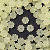 Frosted Transparent Acrylic Beads X1-OACR-P029-03B-03-1