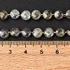 Natural Labradorite Beads Strands G-K389-B66-01-6