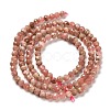 Natural Argentina Rhodonite Beads Strands G-B107-A04-04-3