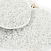6/0 Luminous Glass Seed Beads SEED-NH0001-01A-2