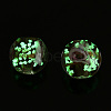 Luminous Handmade Gold Sand Lampwork Beads LAMP-T021-03M-3