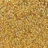 MIYUKI Round Rocailles Beads SEED-G009-RR0003-2