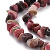 Natural Rhodonite Chip Bead Strands G-M205-24-2