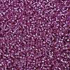 MIYUKI Delica Beads SEED-X0054-DB2156-3